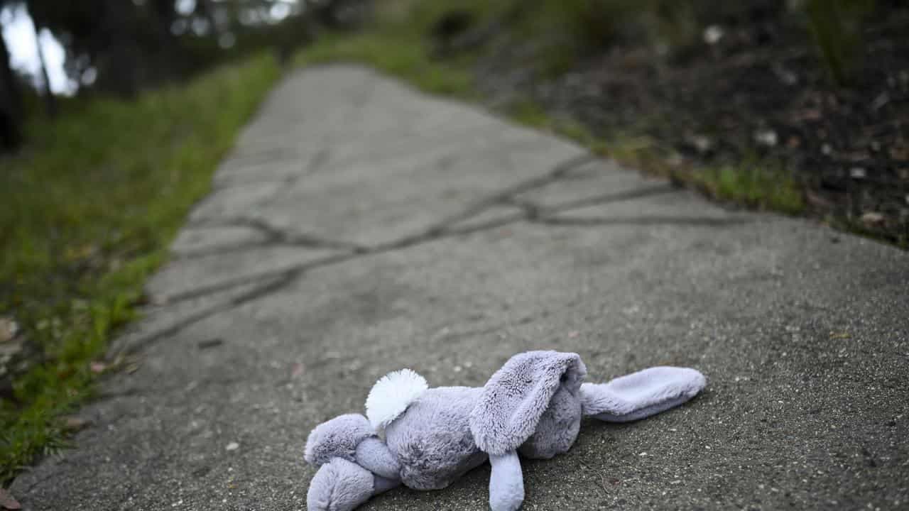 Failures of 'broken' child safety system sparks inquiry