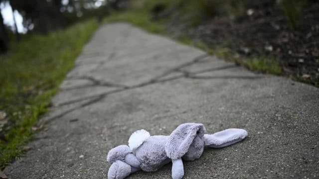 Failures of 'broken' child safety system sparks inquiry