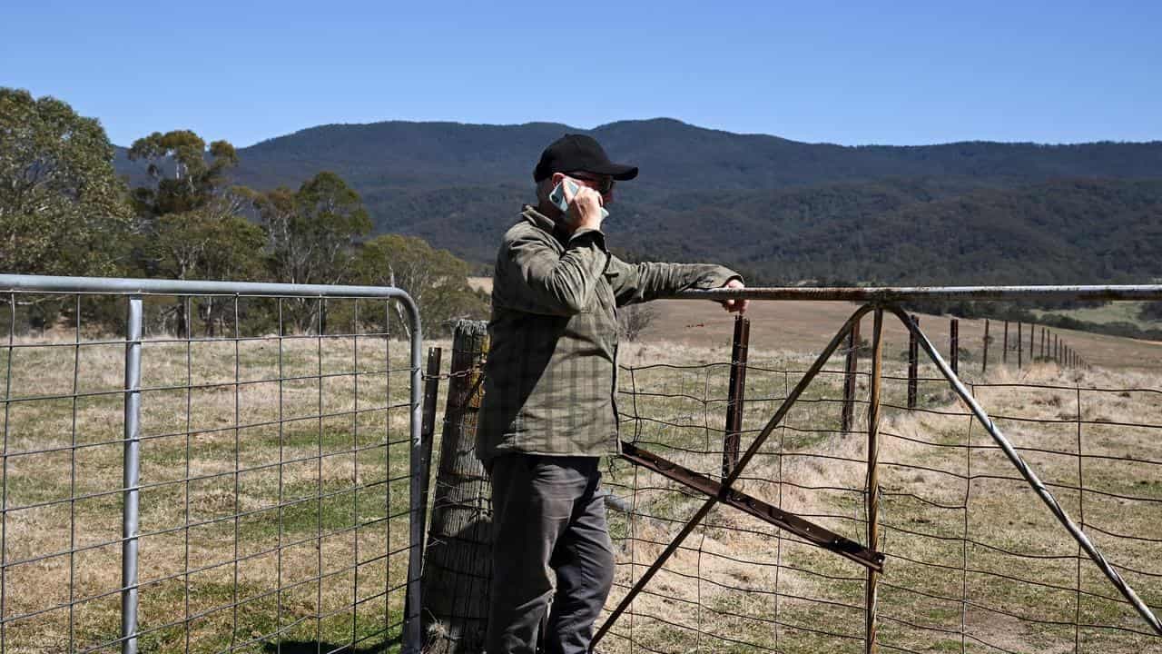 Telstra accused of beating around the bush on coverage