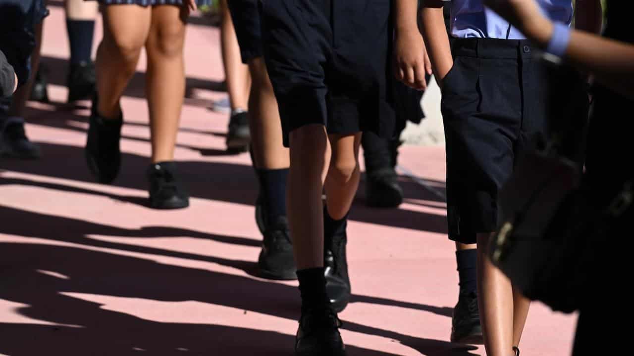Urgent call to end gender-based violence in schools