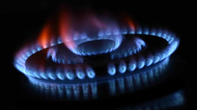 Japanese firms reportedly cash in on-selling Aussie gas
