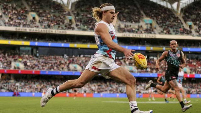 Bailey hype goes up again for massive Cats-Dogs duel