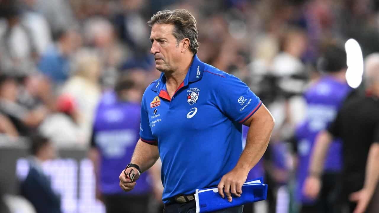 Dogs coach Beveridge in fiery Cornes confrontation