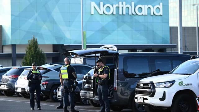 Knives out for machete sale ban after shopper terror