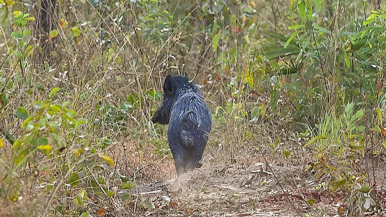 Farmers, greenies divided over 'dirty' bounty deal