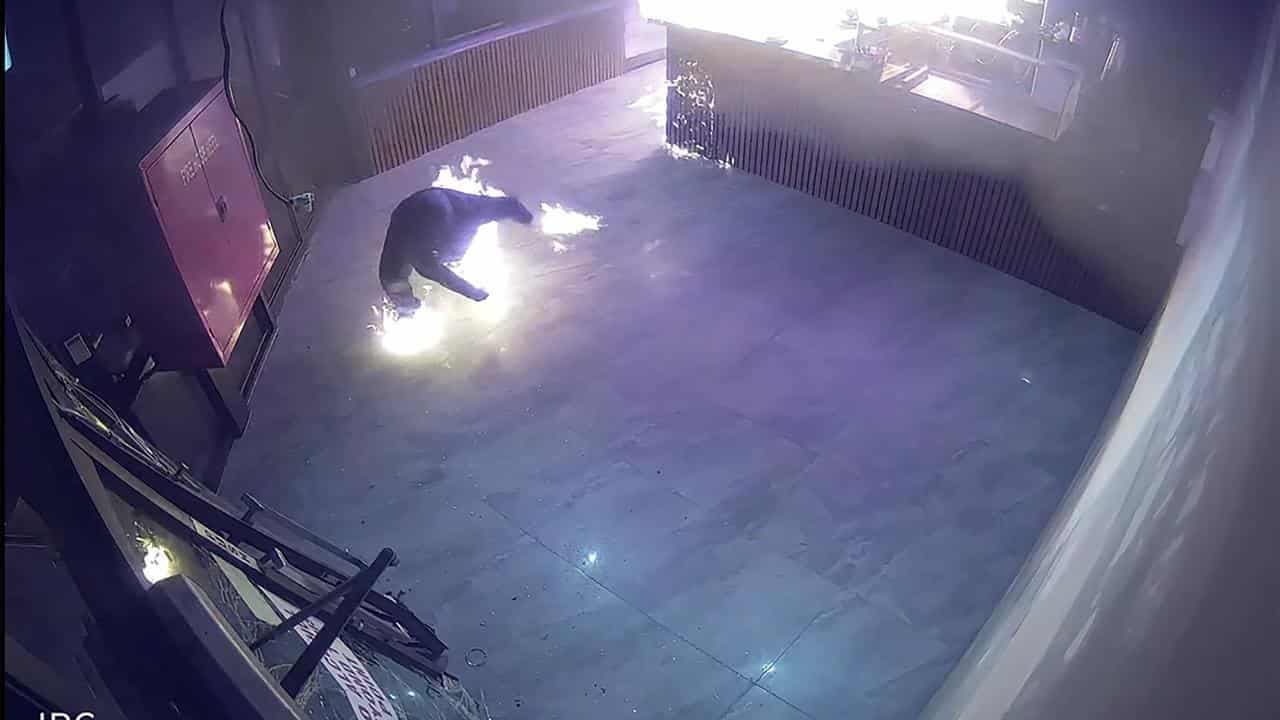 Bungling crook sets himself alight during arson attempt