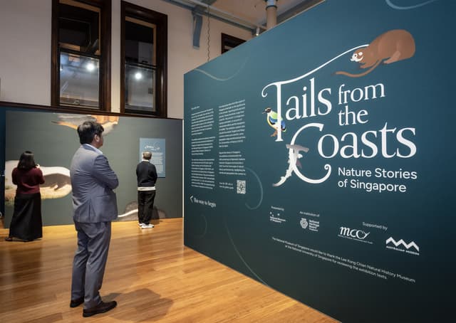 Singapore's Treasured Natural History Drawings Debut at the Australian Museum