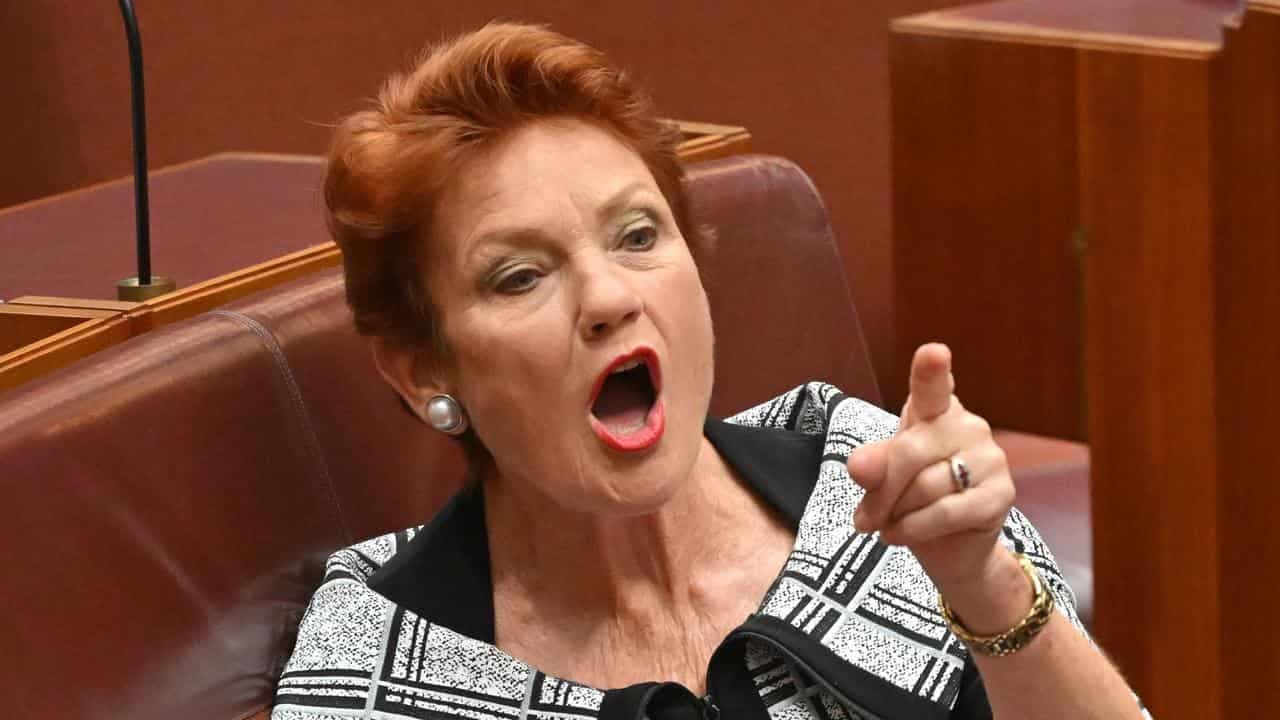 One Nation boosts parliamentary ranks with new senator