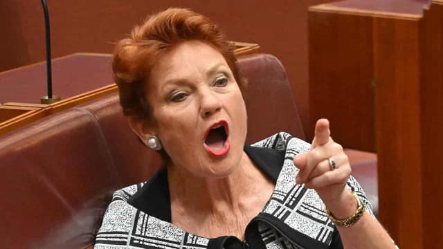 One Nation boosts parliamentary ranks with new senator