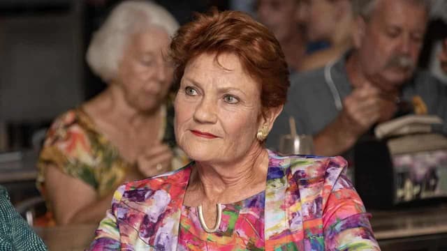 'Strong campaign': One Nation doubles in size in Senate