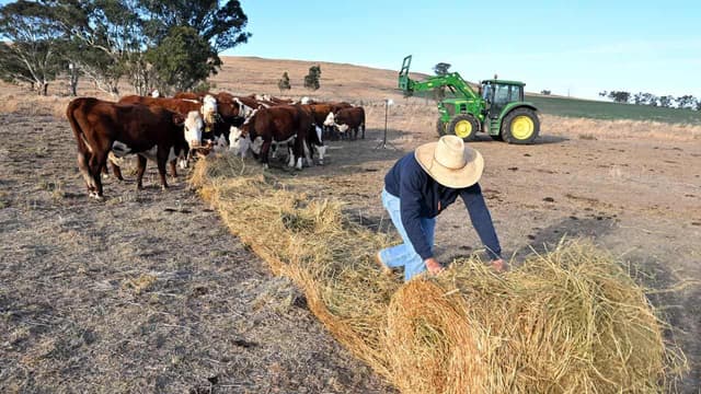 Tax reprieve for farmers as drought declared statewide
