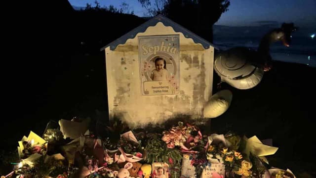 Community reels over toddler, mum's deaths