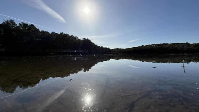 'Salty soup': climate threat to vital lagoon ecosystems