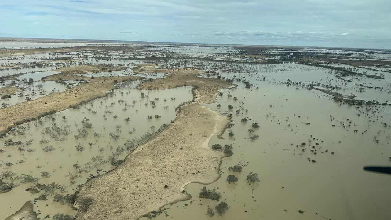 Lake flood spectacle a magnet for wildlife, tourists