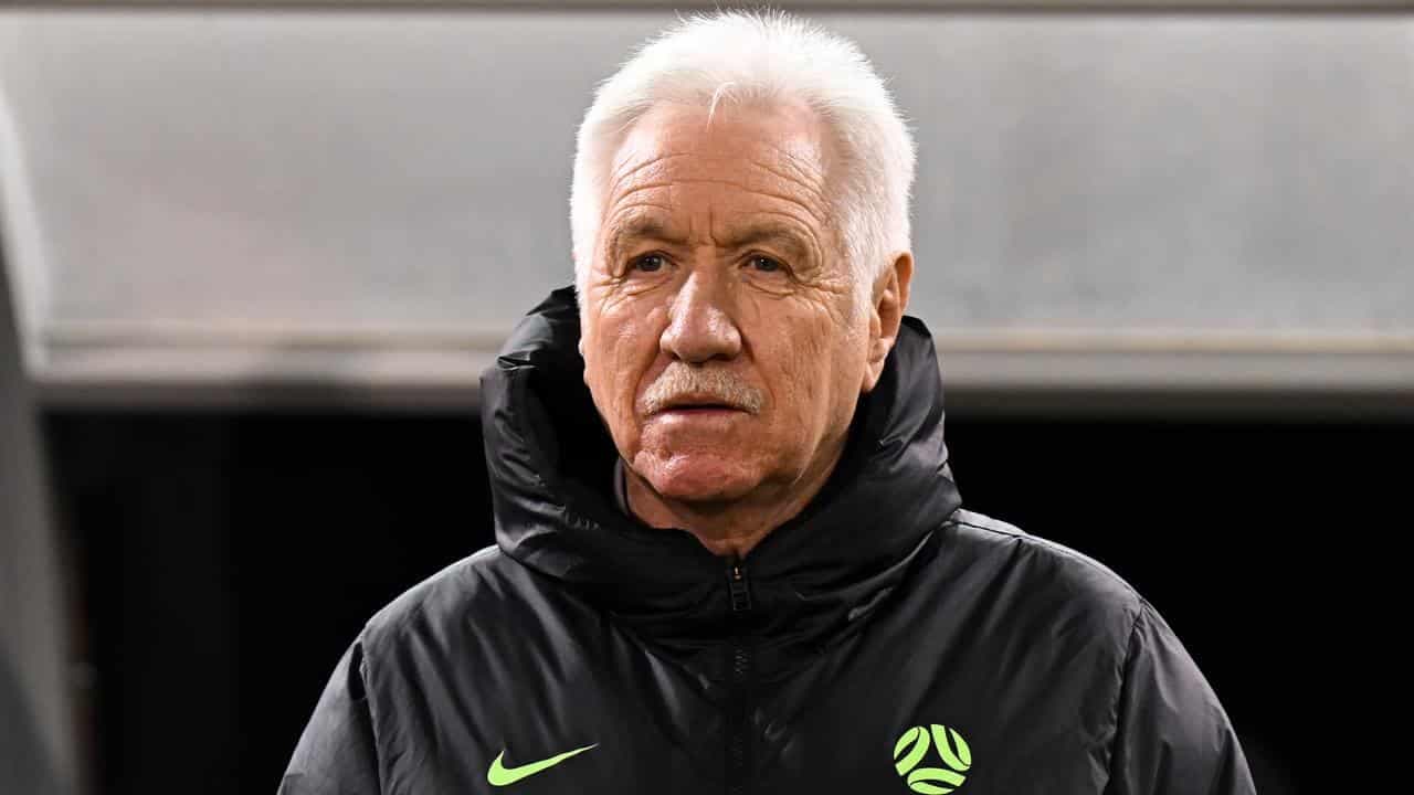 Sermanni pinching himself after 'phenomenal' privilege