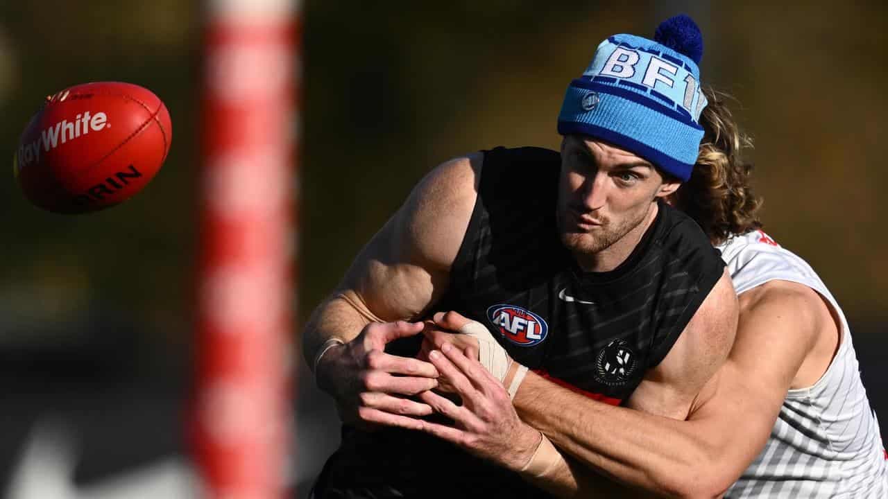 Magpies ponder selection posers for King's Birthday