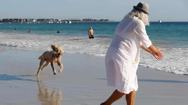 Opposition rules out deal on superannuation tax change