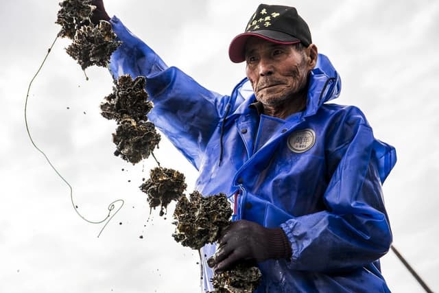 Creative Tech Textile's Seawool® Opens New Horizons for Sustainable Fashion