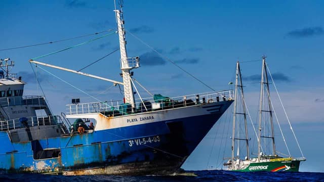 Reeled in: activists battle industrial fishing off Aust