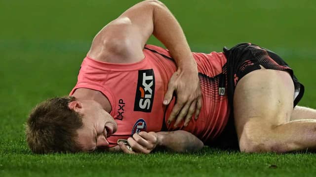 Cats back Stewart after bump sends Anderson to hospital