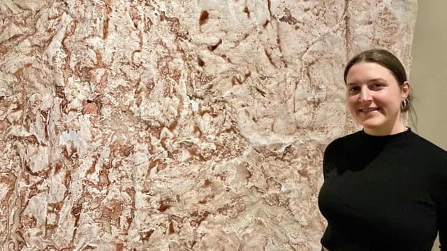 Of mice and Macca's: art's new meaning in old materials