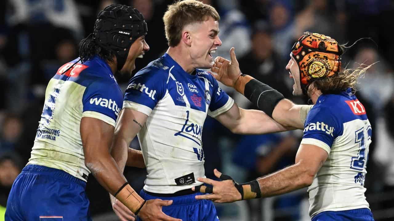 Dogs show they see Galvin as half after joyous arrival