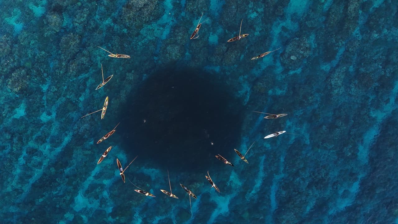 Melanesian Leaders Announce World's Largest Indigenous-Led Marine Reserve