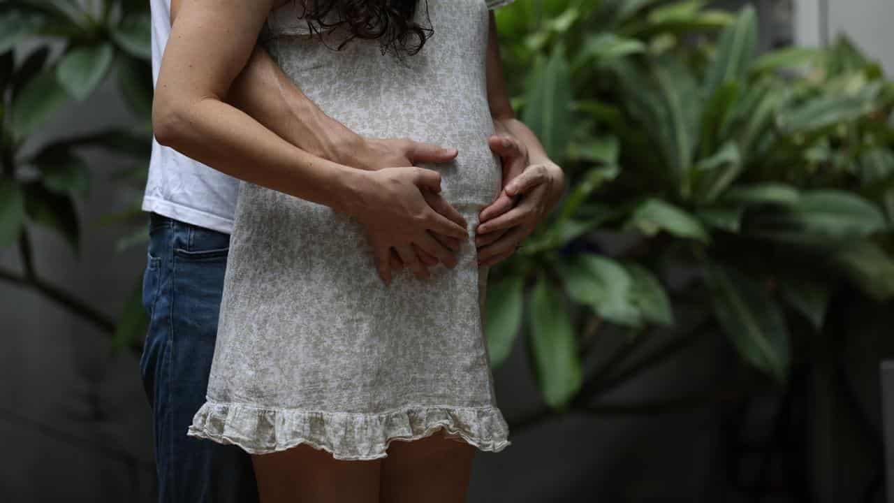 IVF system fails to pass the pub test, minister says