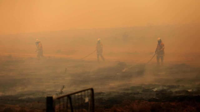 'We started a fire': ADF criticised over major blaze