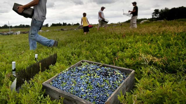 Estimated thousands trapped in Australian farm slavery
