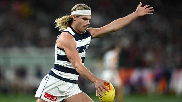 Boom recruit a 'breath of fresh air' in Cats flag push
