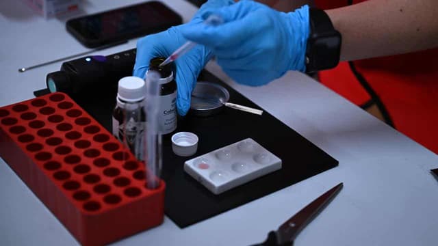 Pill testing clinic set for entertainment hotspot