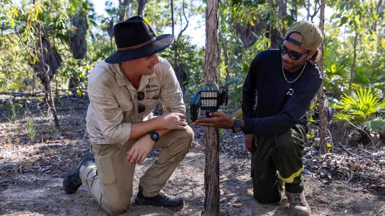 Indigenous-led plan sets example in caring for Country