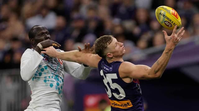 Josh Treacy's mini goal drought no cause for concern