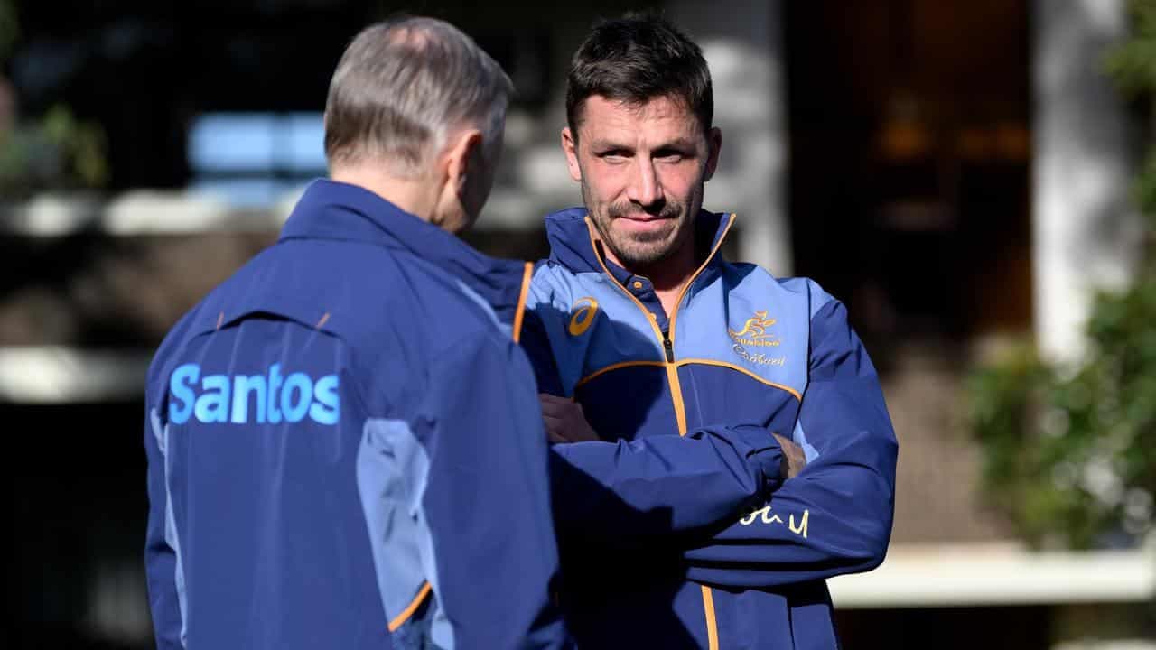 O'Connor misses Wallabies squad as Schmidt picks youth