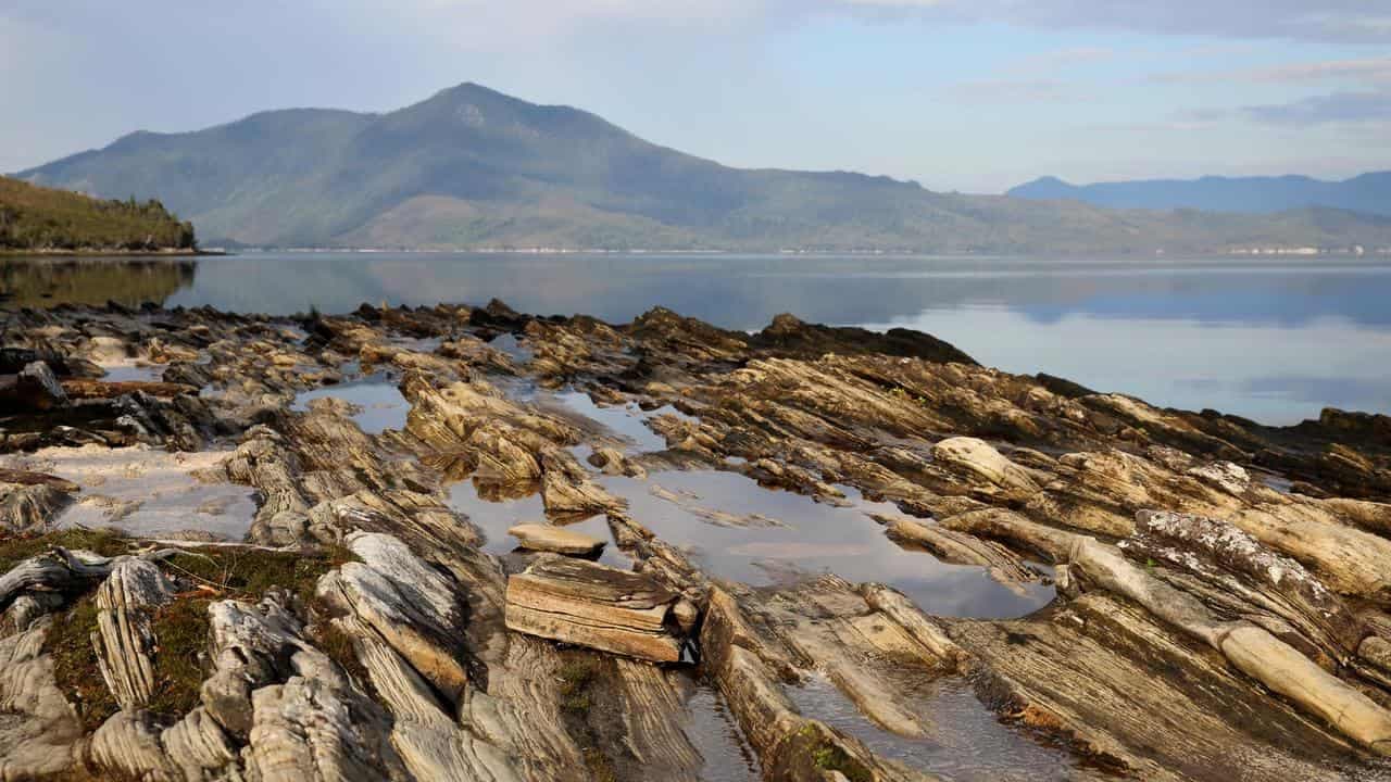 Second wind for long-promised nature law reforms