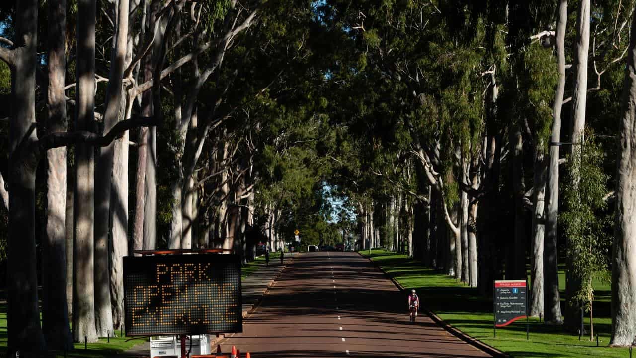 Alarm as destructive tree pest threatens to go national