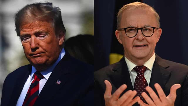 Trump didn't call PM 'Airbus Albanese' in Truth Social post