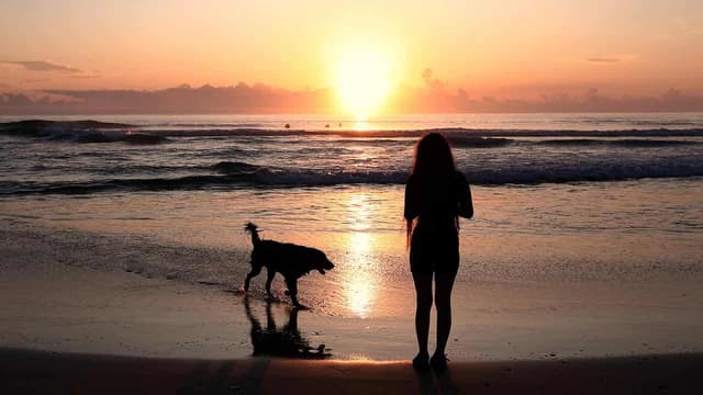 Emission targets on track but nature in 'deep trouble'