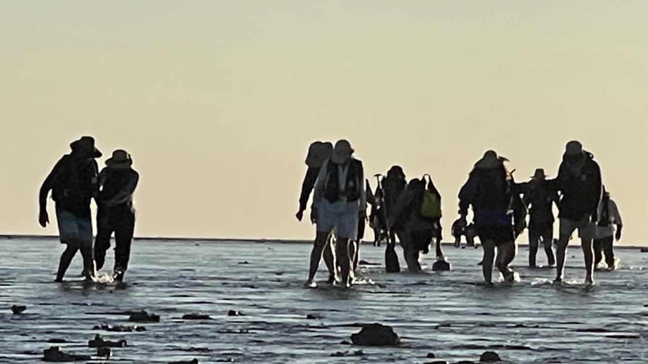 Stranded cruise passengers rescued from remote island