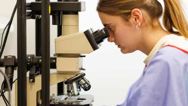 Career blocks for female scientists put under scrutiny