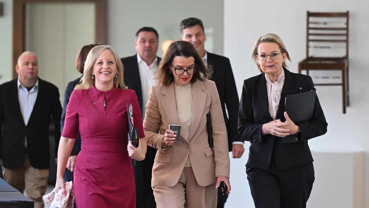 'Subverting democracy': Liberal hits out at quota push