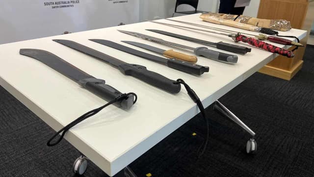 Machetes and swords get the chop as new laws begin