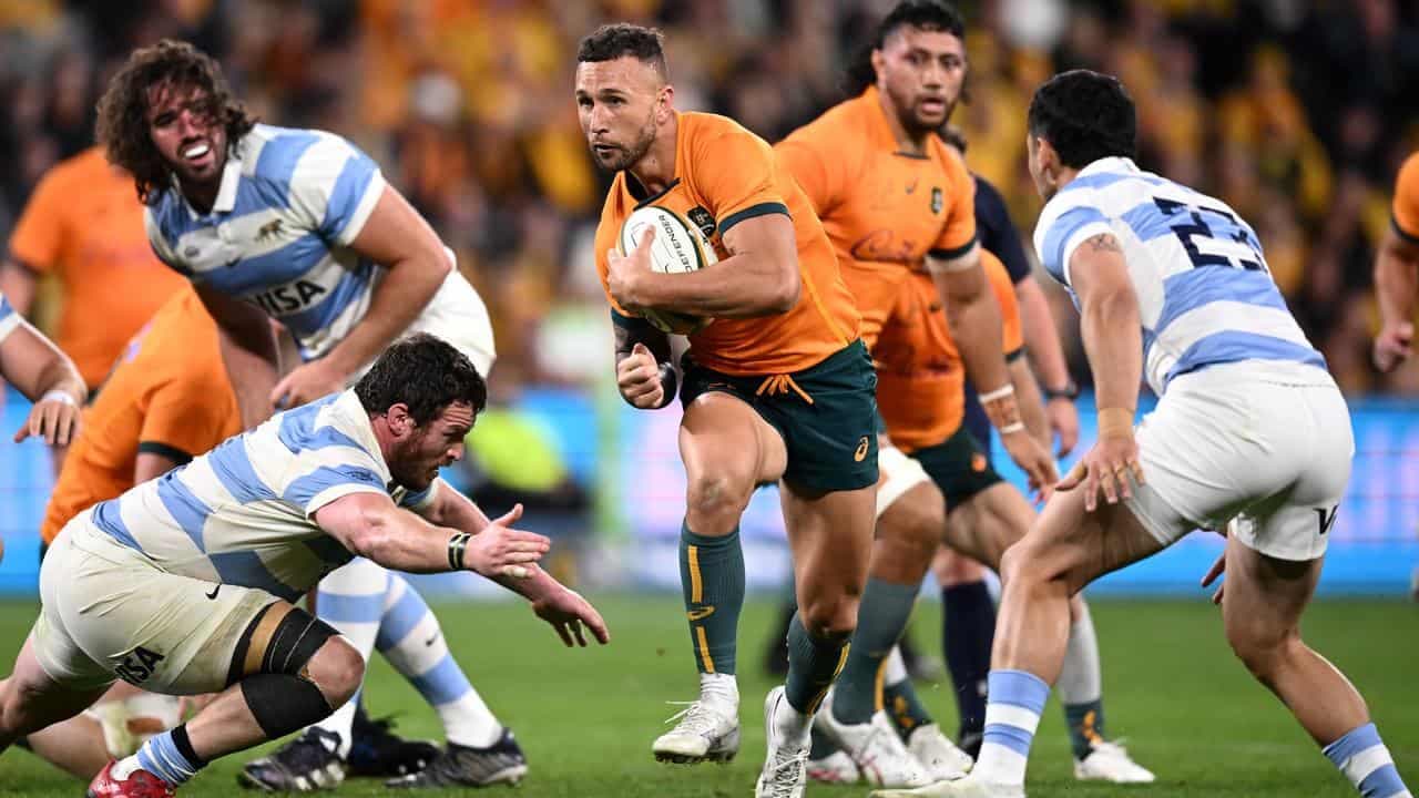 Wallaby vent: 'Coaches change every freaking two years'