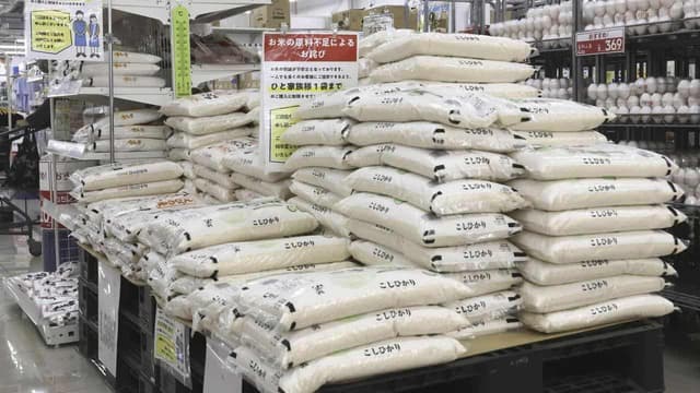 Rice not on the table in Japan's trade talks with US