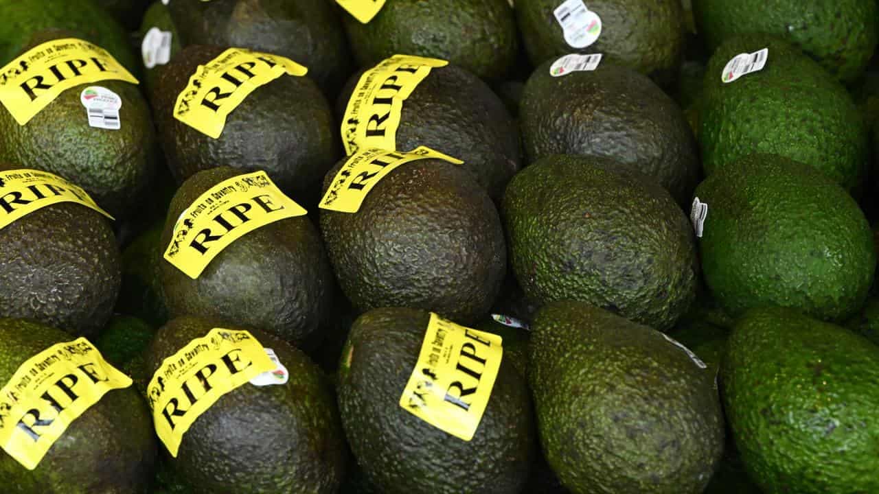 Avo production smashed, but still 20 for every Aussie