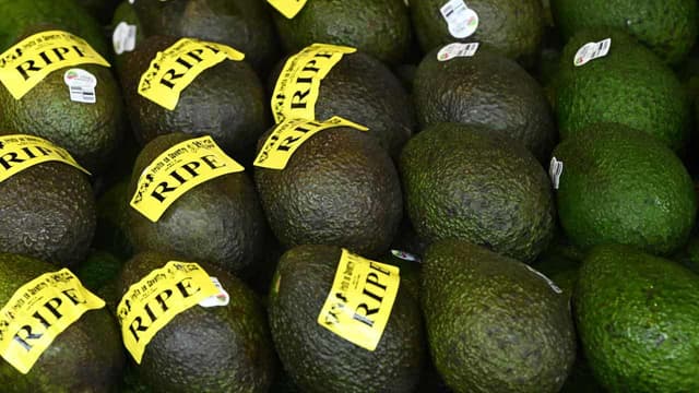 Avo production smashed, but still 20 for every Aussie