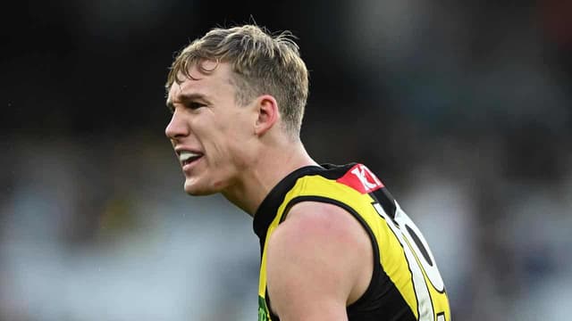 Tiger's lengthy ban amid fresh AFL tribunal precedent