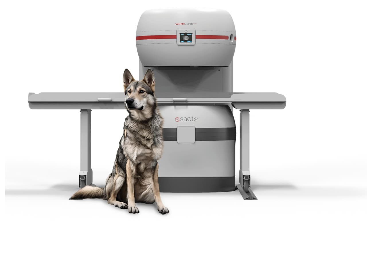 Esaote presents at ECVS 2025 the new generation of veterinary MRI, Vet -MR Grande ELITE