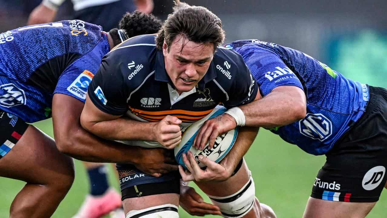 Brumbies brothers join forces in bid to be Lion tamers
